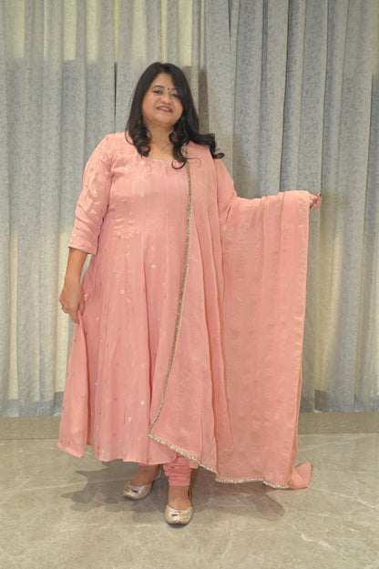 ANARKALI SET WITH PANELS (KALI)