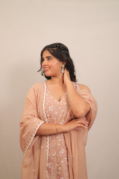 ROSE BISQUE - FULL FAIRED PANEL SHARARA SET