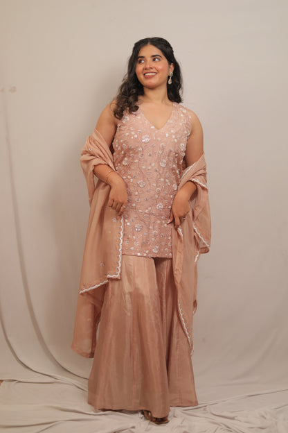 ROSE BISQUE - FULL FAIRED PANEL SHARARA SET