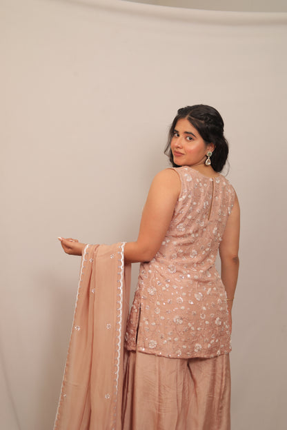 ROSE BISQUE - FULL FAIRED PANEL SHARARA SET