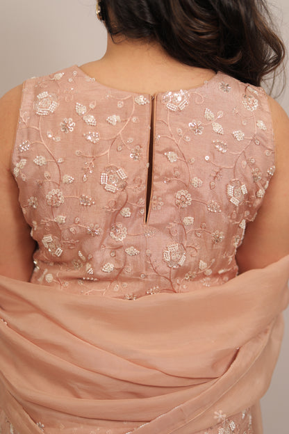 ROSE BISQUE - FULL FAIRED PANEL SHARARA SET