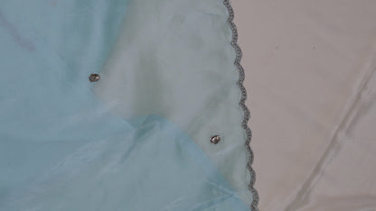 POWDER BLUE- AUTUMN CREPE SAREE( CHAKRA BUTTI - CIRCLE MOTIFS)