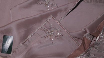 BEIGE - SILK ORGANZA SAREE (PHOOLWARI - FLOWER GARDEN)